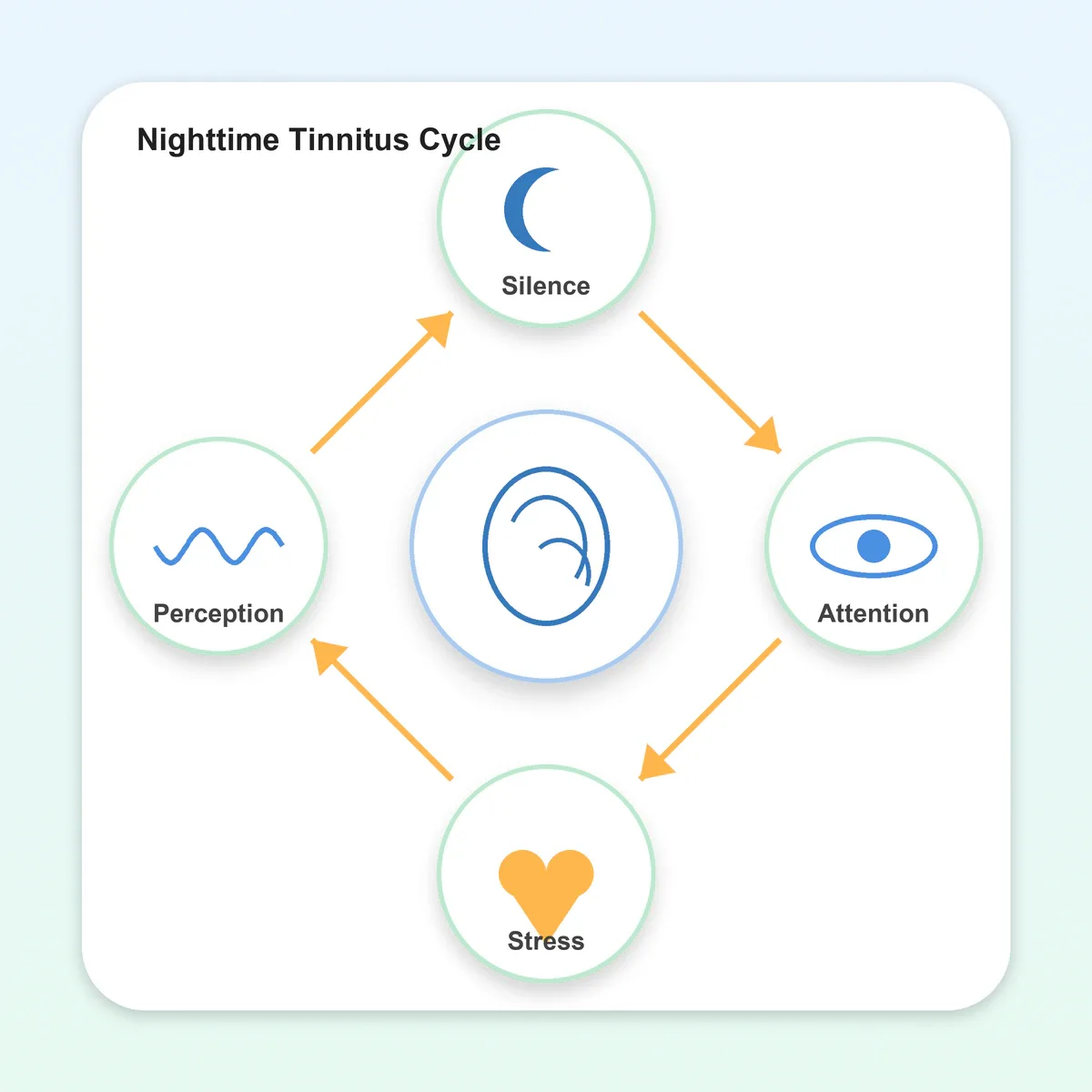 The nighttime tinnitus cycle: silence, attention, stress, and perception reinforce each other